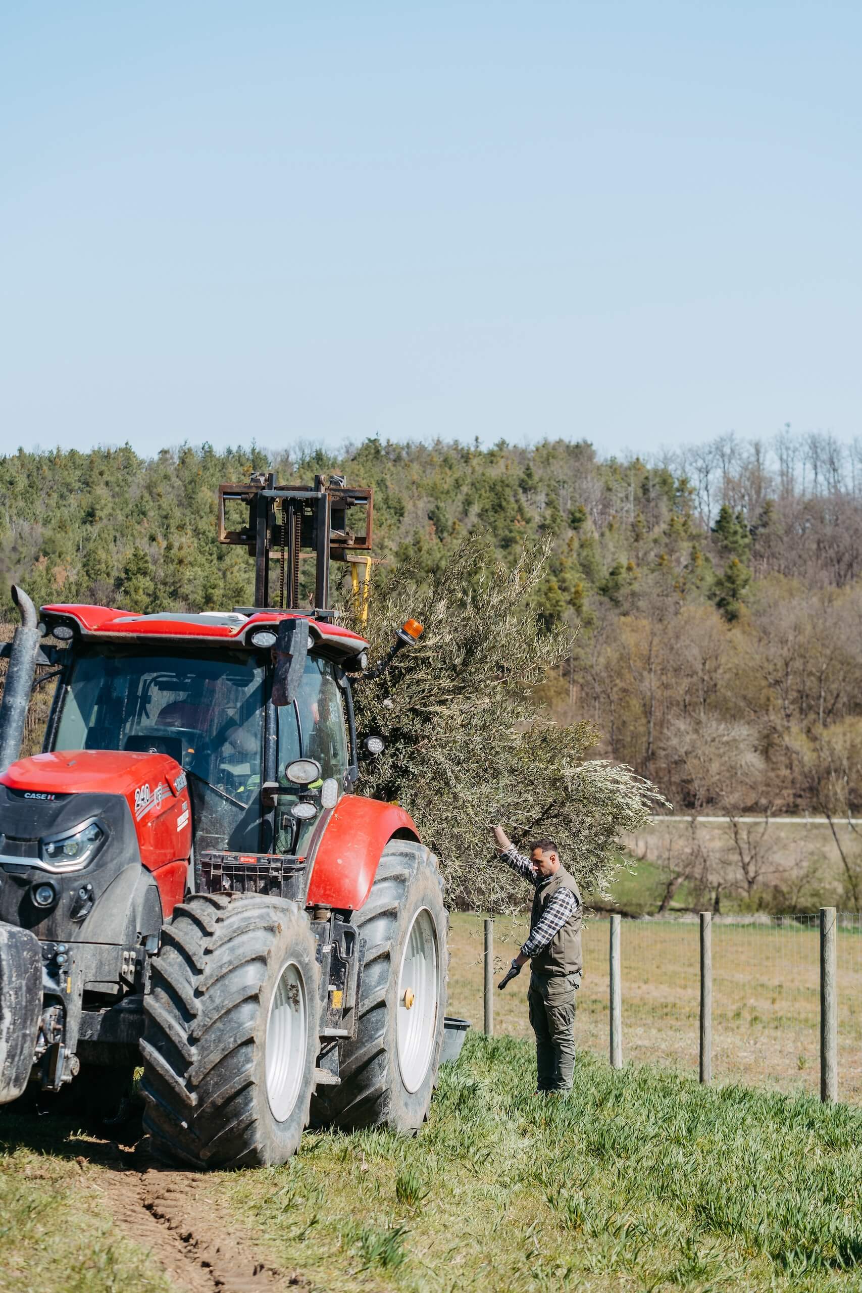 Ein roter Traktor in ländlicher Kulisse, ideal für romantische Landhochzeiten und einzigartige Hochzeitslocations.